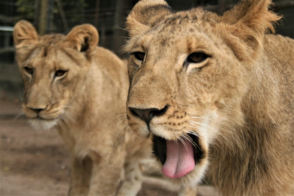 Excursion Réserve de Fathala (11)