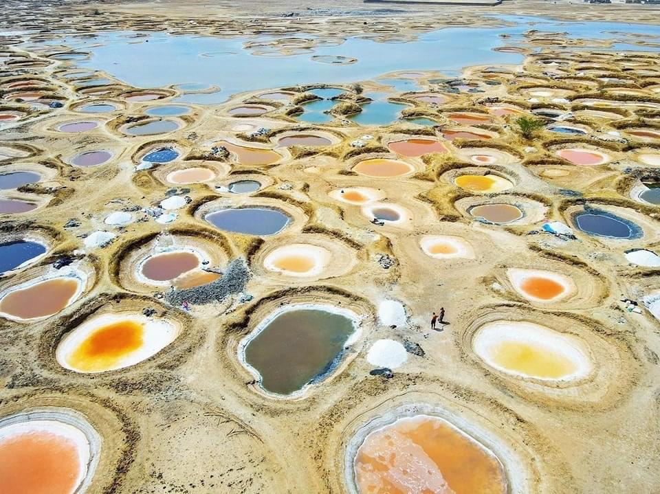 Excursion aux Îles du Saloum