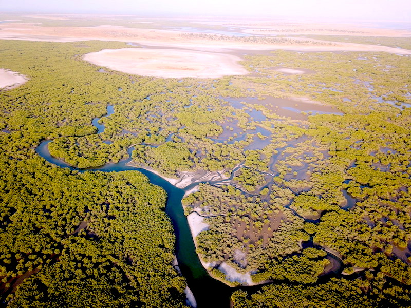 Excursion aux Îles du Saloum