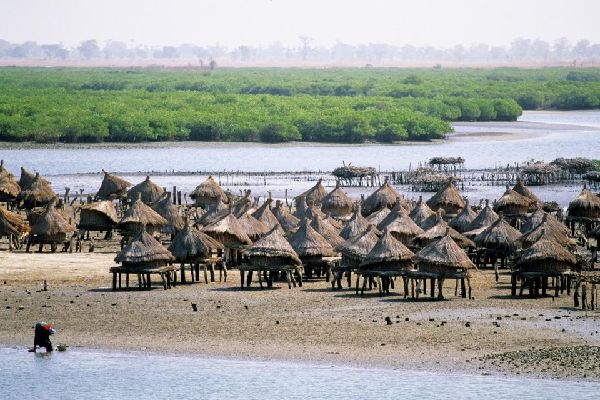 Excursion aux Iles du Saloum (3)