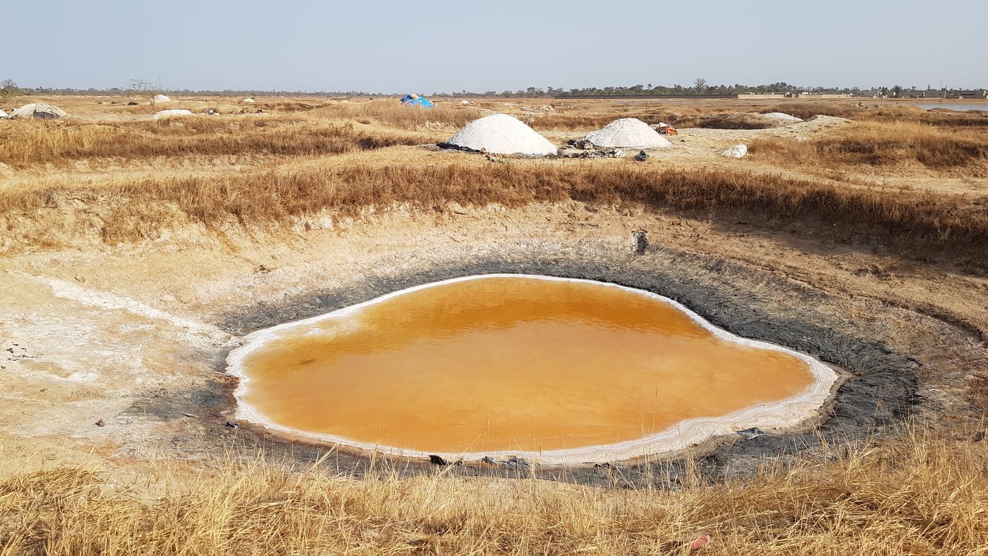 Excursion aux Iles du Saloum (3)
