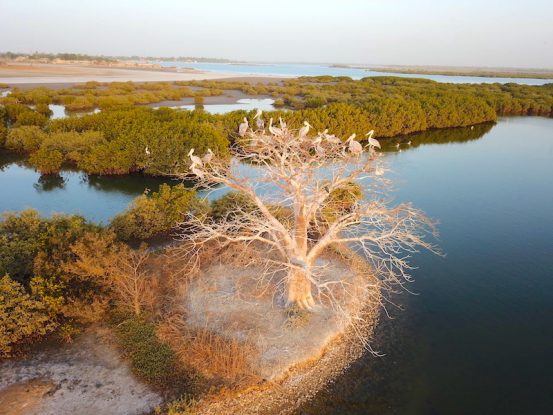 Excursion Îles du Saloum