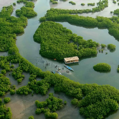 Îles du Saloum (5)