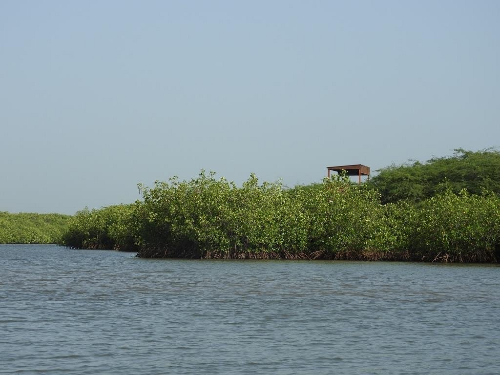 Excursion Lagune de Somone Sénégal