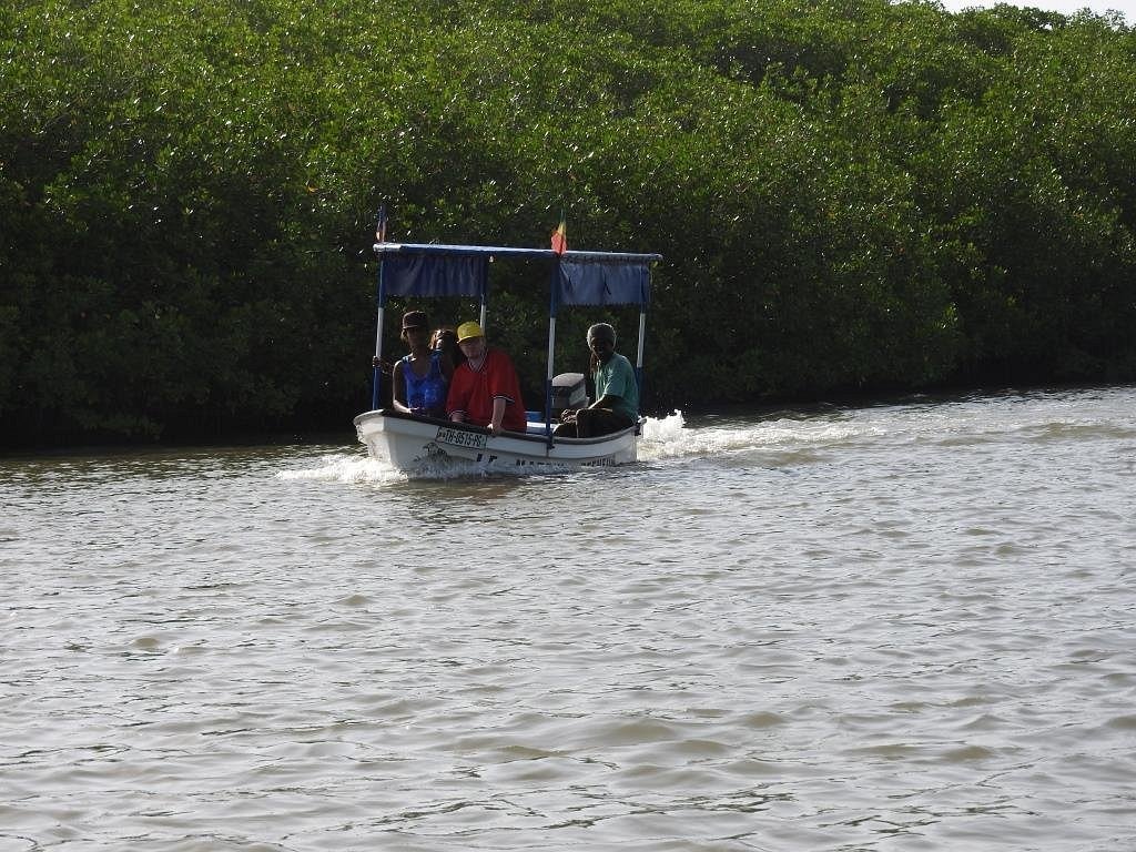 lagune-de-la-somone (7)