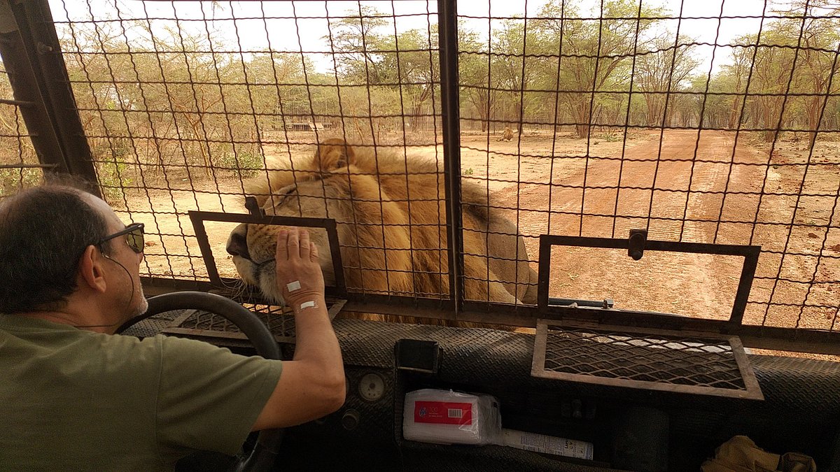 Excursion Demi-journée au Ranch de Bandia