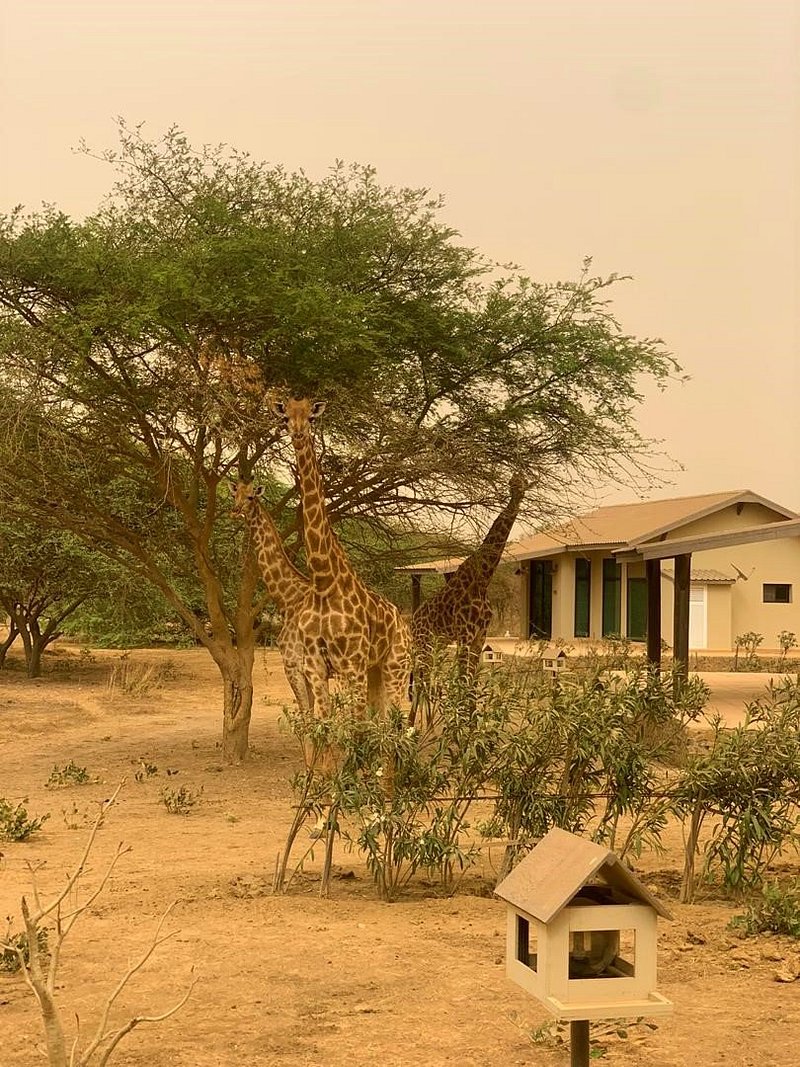 vue-de-la-terrasse-du