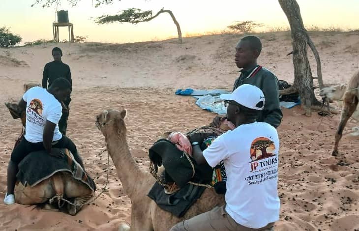 JP Tours Senegal (1)