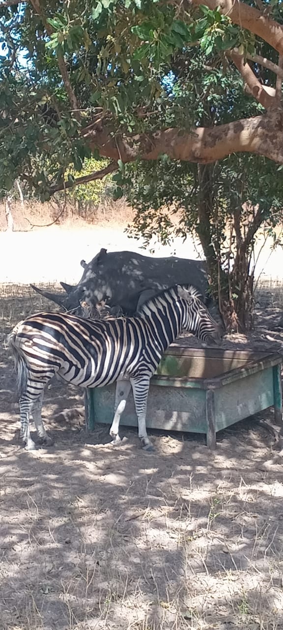 JP Tours Senegal (16)